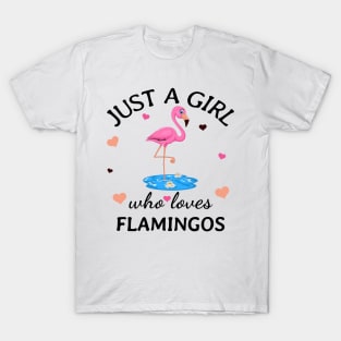 Just a Girl Who Loves flamingos Gift T-Shirt